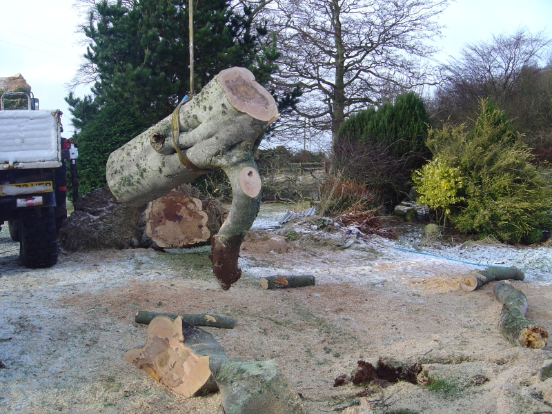 2nd february 2008 084